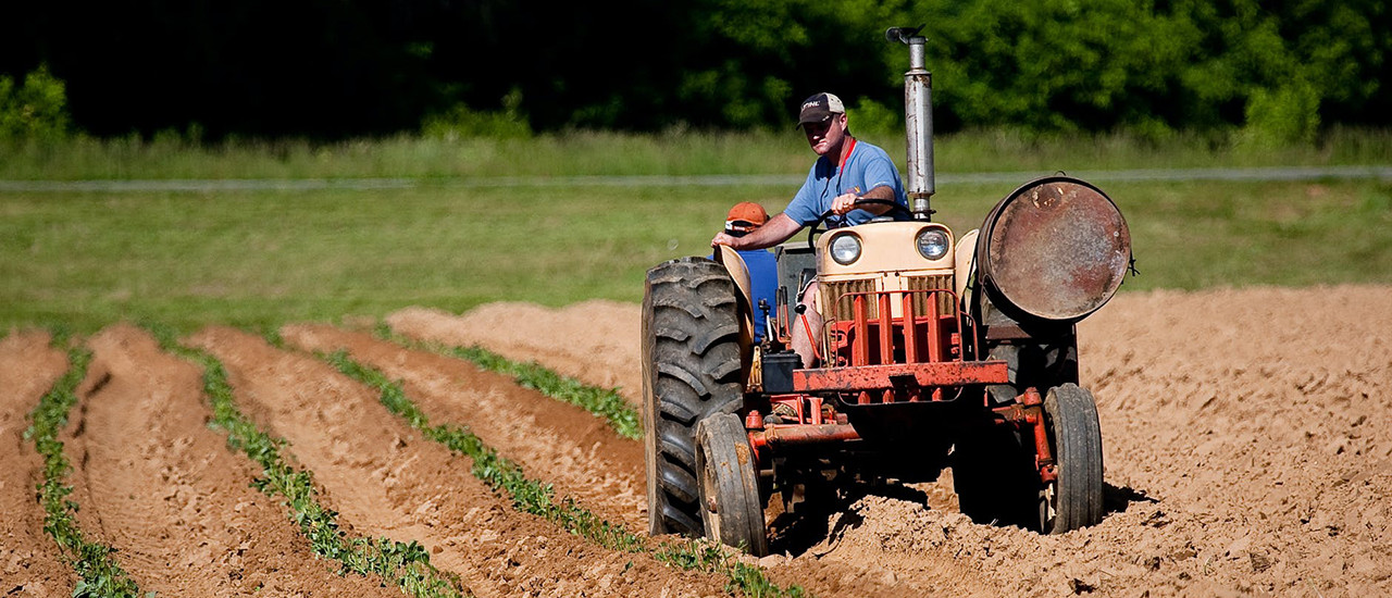 Productores Agropecuarios – Devolución IVA gasoil - ECOVIS Uruguay