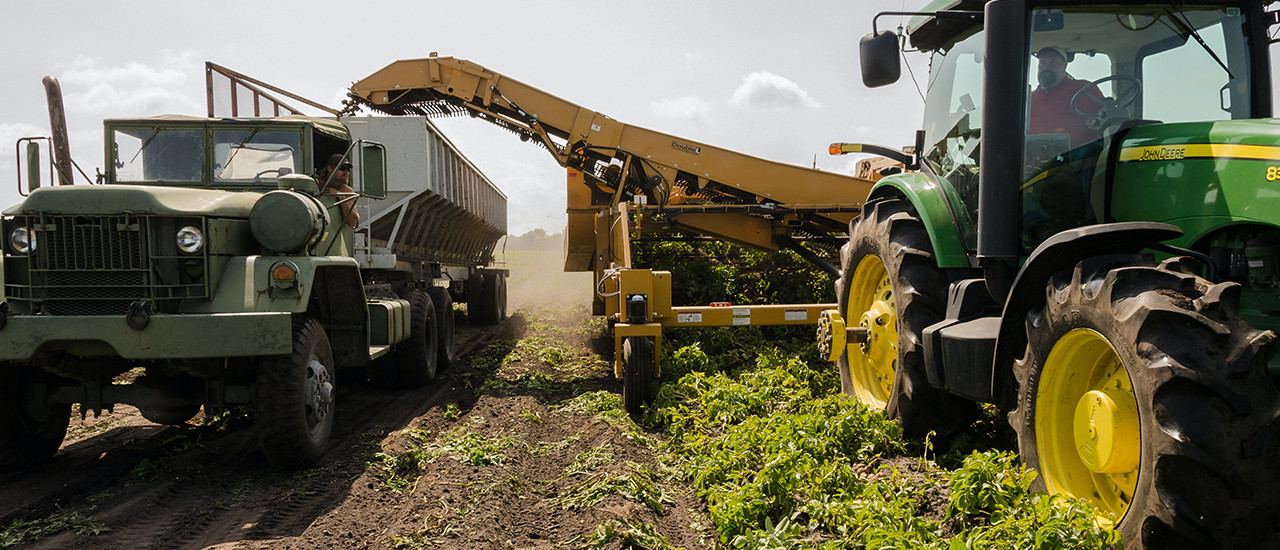 Productores agropecuarios – Cesión de certificados de crédito - ECOVIS Uruguay
