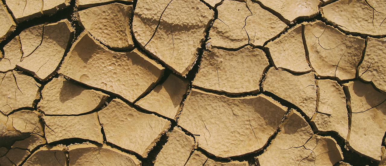 Aportación rural – Prórroga de vencimientos - ECOVIS Uruguay