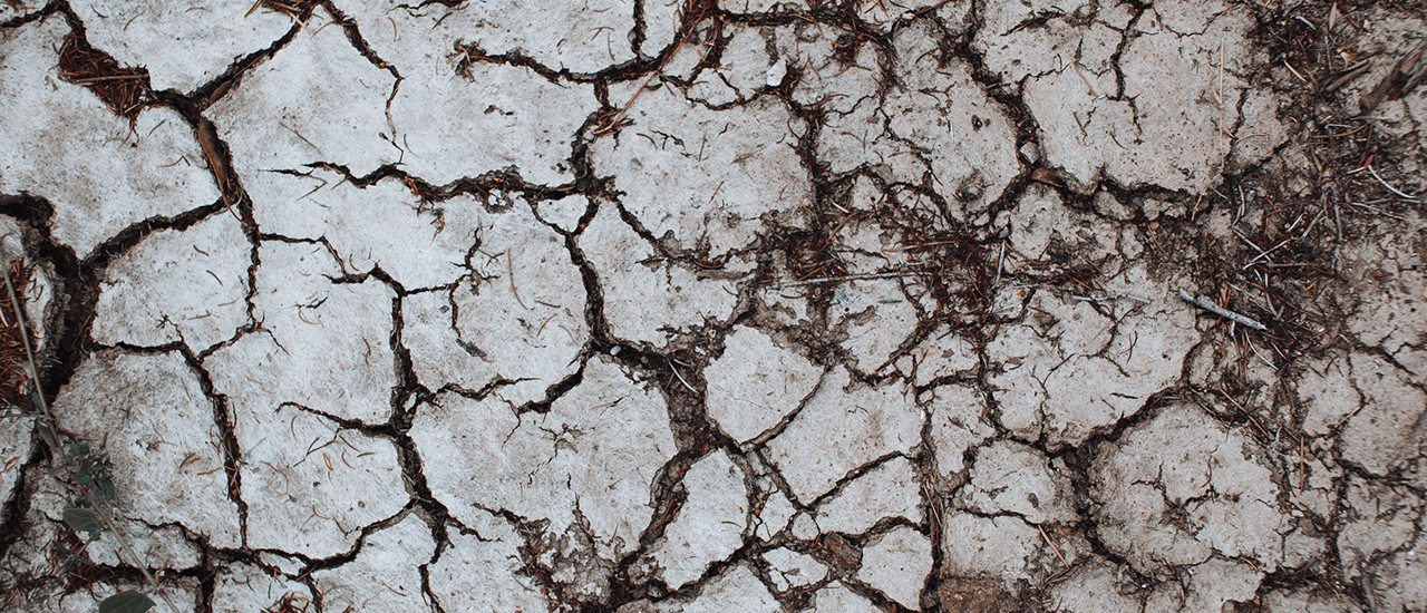 Emergencia Hídrica en el sector agropecuario - ECOVIS Uruguay