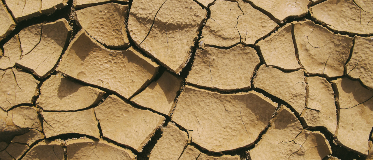 Medidas adoptadas por la emergencia hídrica - ECOVIS Uruguay