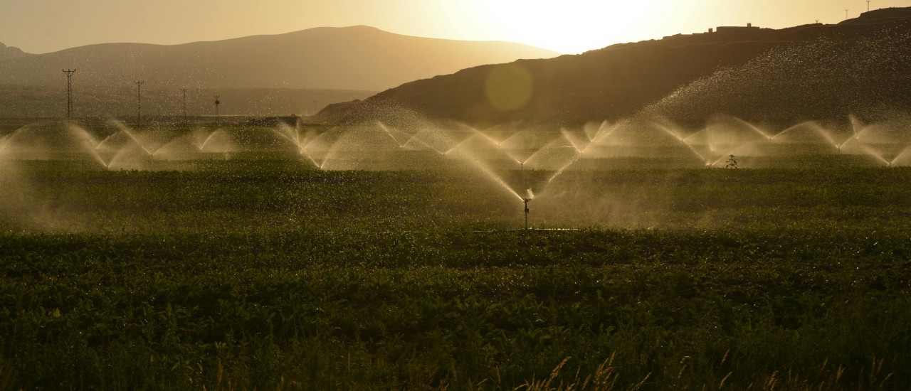 Impulsando las inversiones en el agro a través de los beneficios fiscales - ECOVIS Uruguay