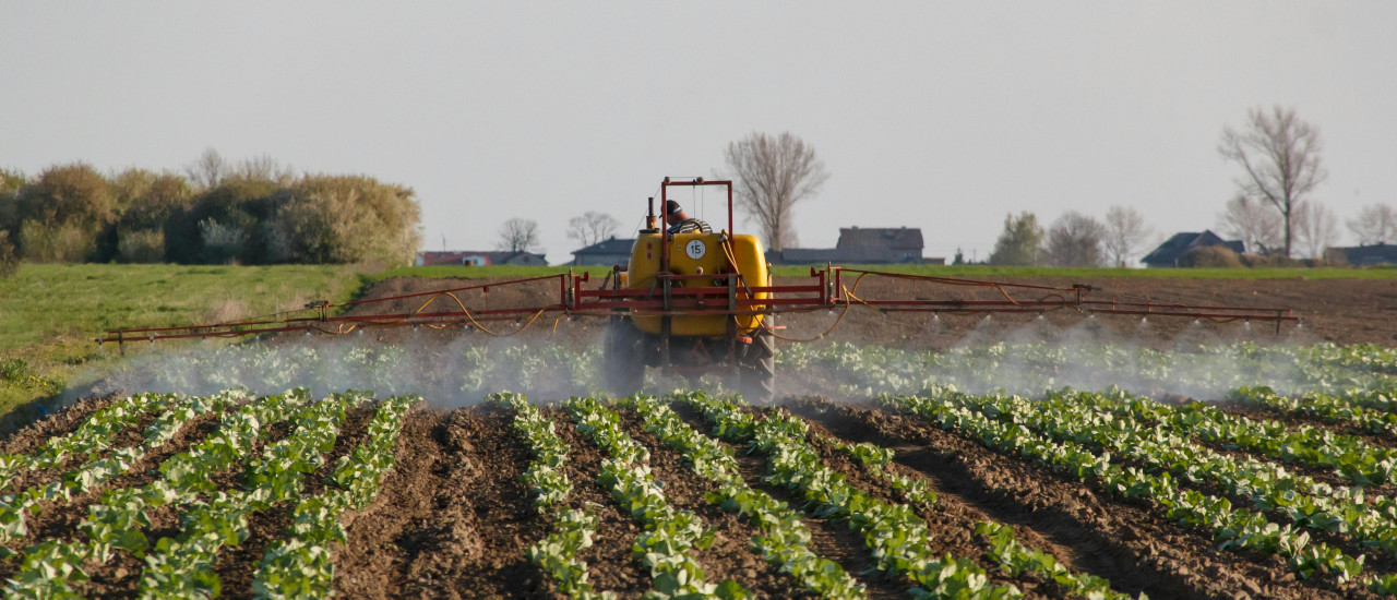 Beneficios fiscales para el sector agropecuario - ECOVIS Uruguay